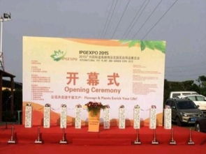 图 广州海珠区婚庆礼仪策划性价比高翔云礼仪 广州婚庆 庆典