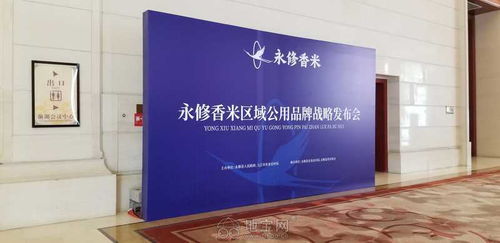 会议会务活动策划场地布置公司