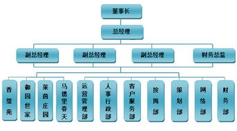 索象营销策划公司的公司架构