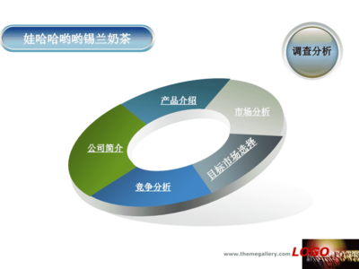 娃哈哈营销策划大赛.ppt
