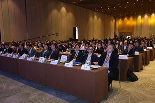 大型晚会 企业年会 品牌发布 招商会议 高端演艺 庆典礼仪