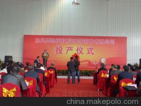 【庆典礼仪】价格,厂家,图片,会务活动策划,武汉市南方礼仪-